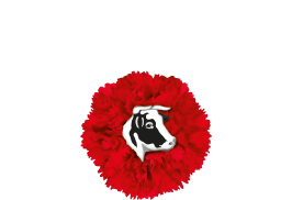 GLORIA